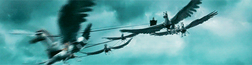 해리포터에서 가장 타보고 싶은 비행수단은? | 인스티즈