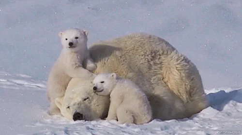 힁거와 누릉거 | 인스티즈