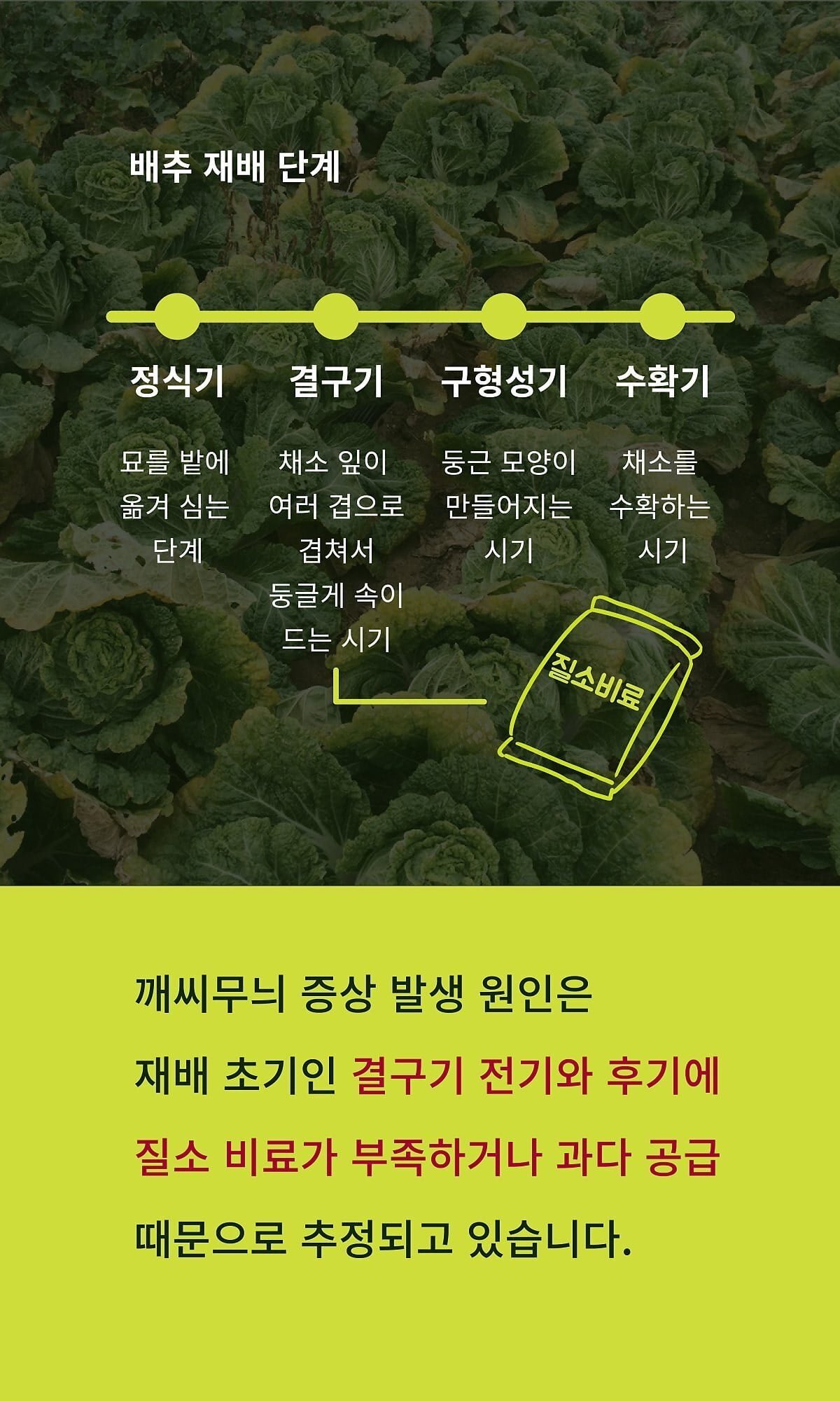 의외로 못먹는 사람이 꽤 많은 김치 | 인스티즈