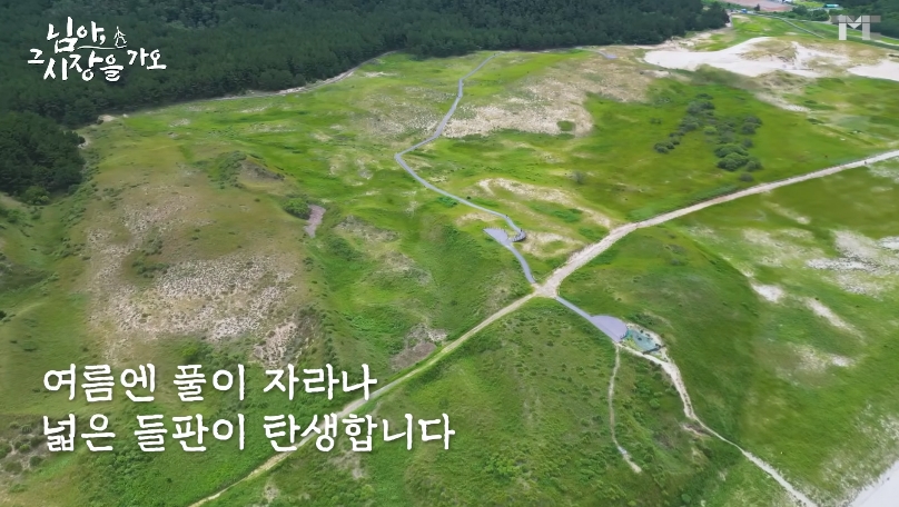 백종원 유튜브 순기능 | 인스티즈