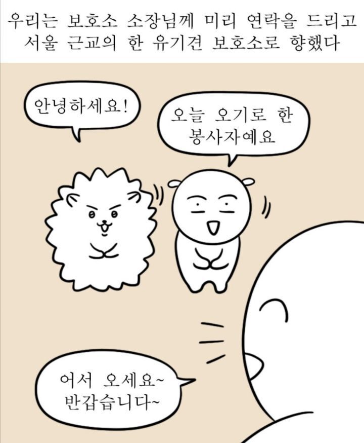 유기견 보호소 위치 안 알려주는 이유 | 인스티즈