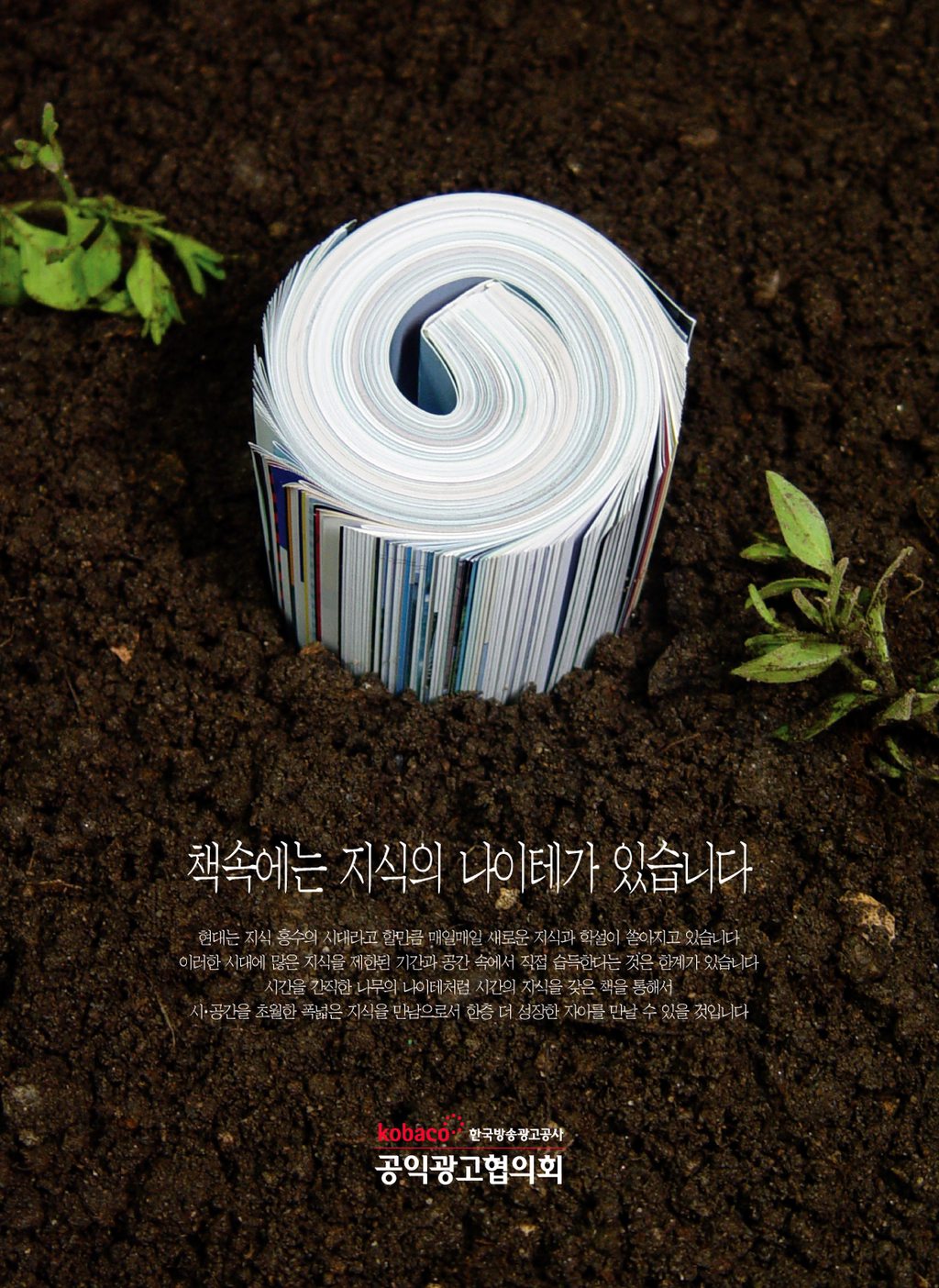 Daum 카페
