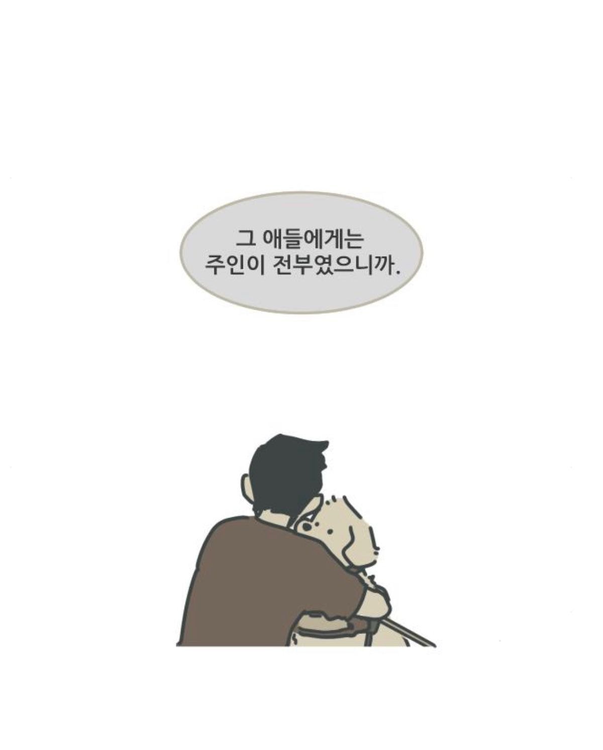 죽고 난 뒤 주인이 자신을 버린게 아니라는걸 안 고양이 | 인스티즈