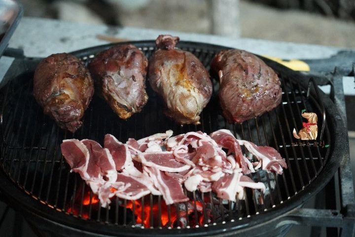 강아지 유치원의 수학여행 | 인스티즈