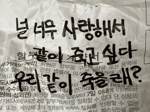 사랑은 낭만적이라 지독하리만큼 아프고 금방 시들어버려서 | 인스티즈