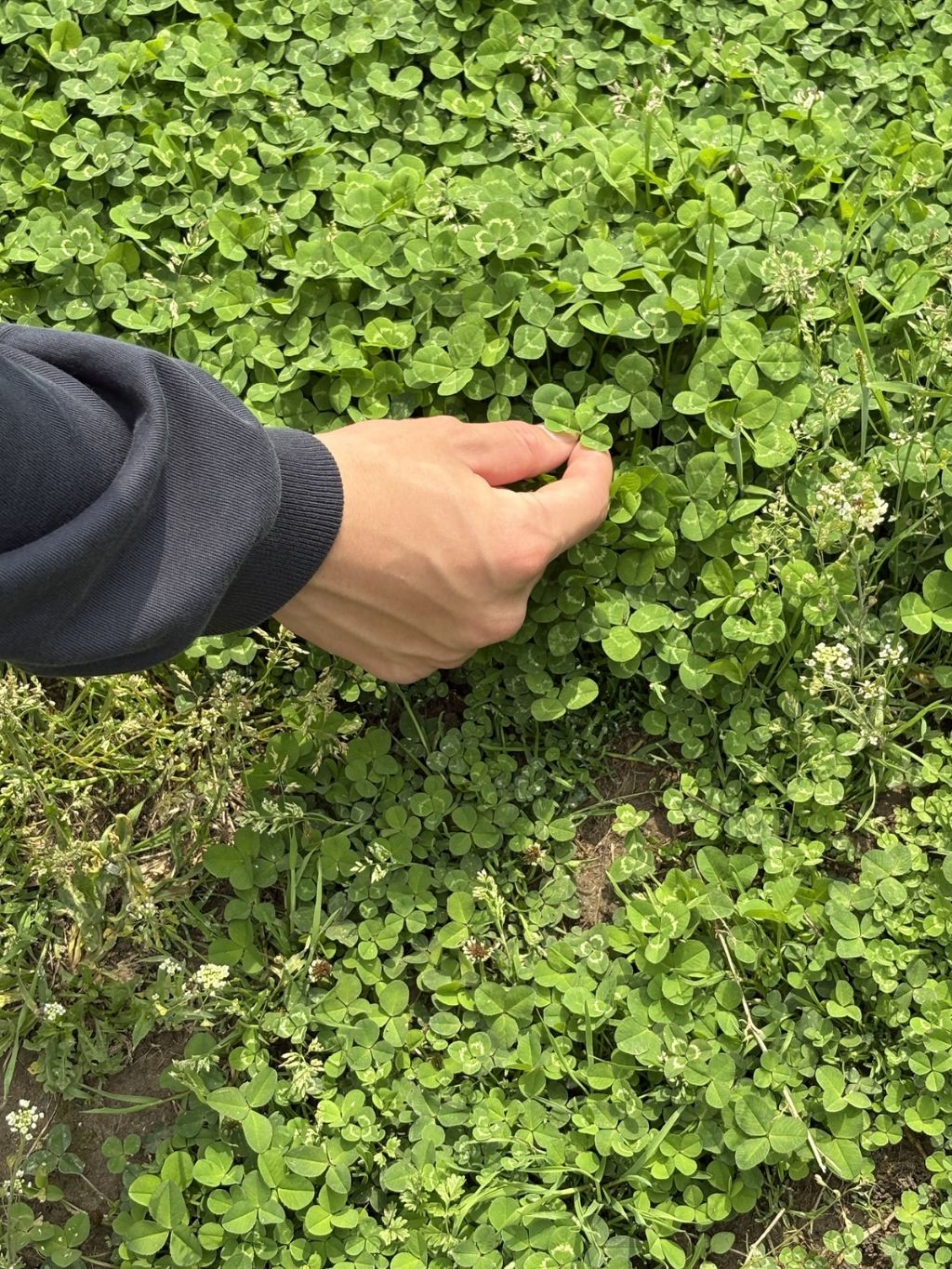 육성재 인스타그램 업뎃 | 인스티즈