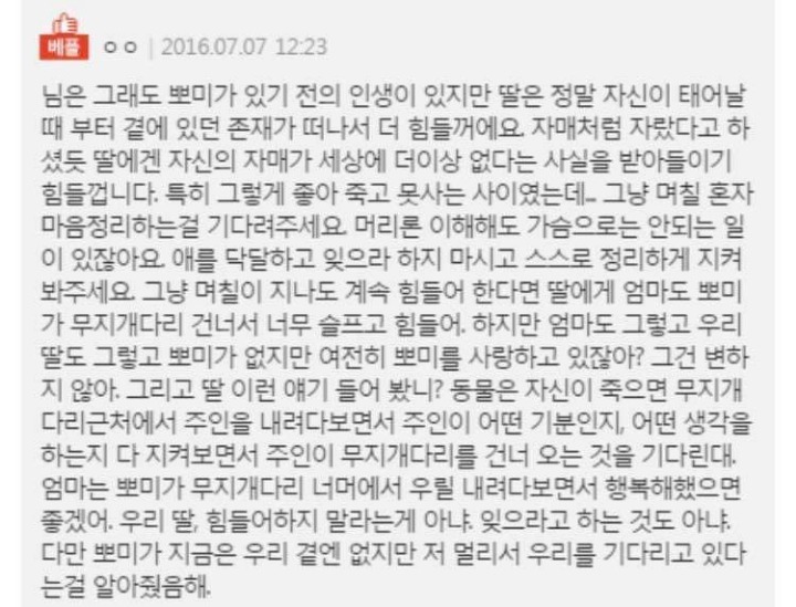 18년키운 강아지가 죽었는데 | 인스티즈