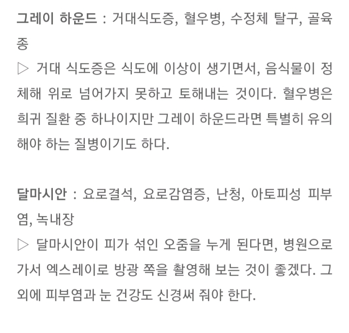 품종묘 보다 품종견에 관대한 사람들.jpg | 인스티즈