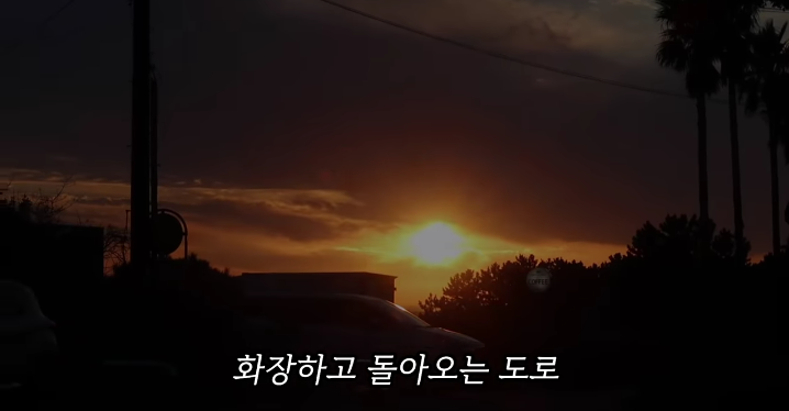 반려묘를 떠나보낸 유튜버가 올린 영상 | 인스티즈