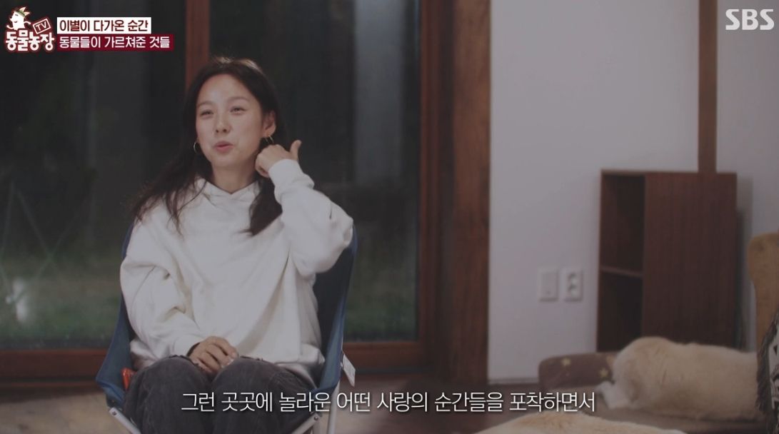 이효리 반려견 순심이가 죽기 전 다른 동물들이 보인 반응 | 인스티즈
