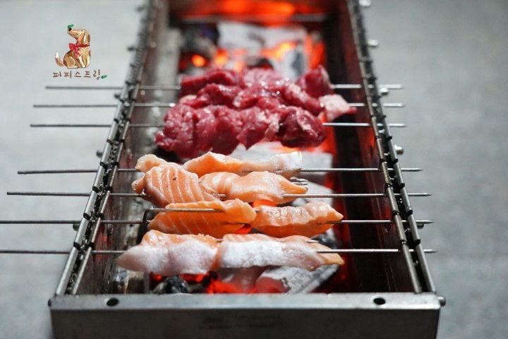 강아지 유치원의 수학여행 | 인스티즈