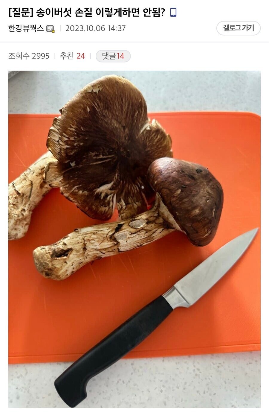 송이버섯 깨끗하게 손질한 사람 | 인스티즈