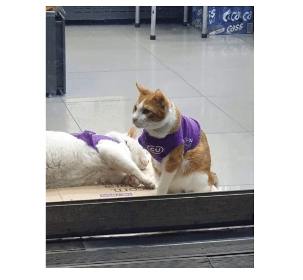 우리동네편의점 이미지