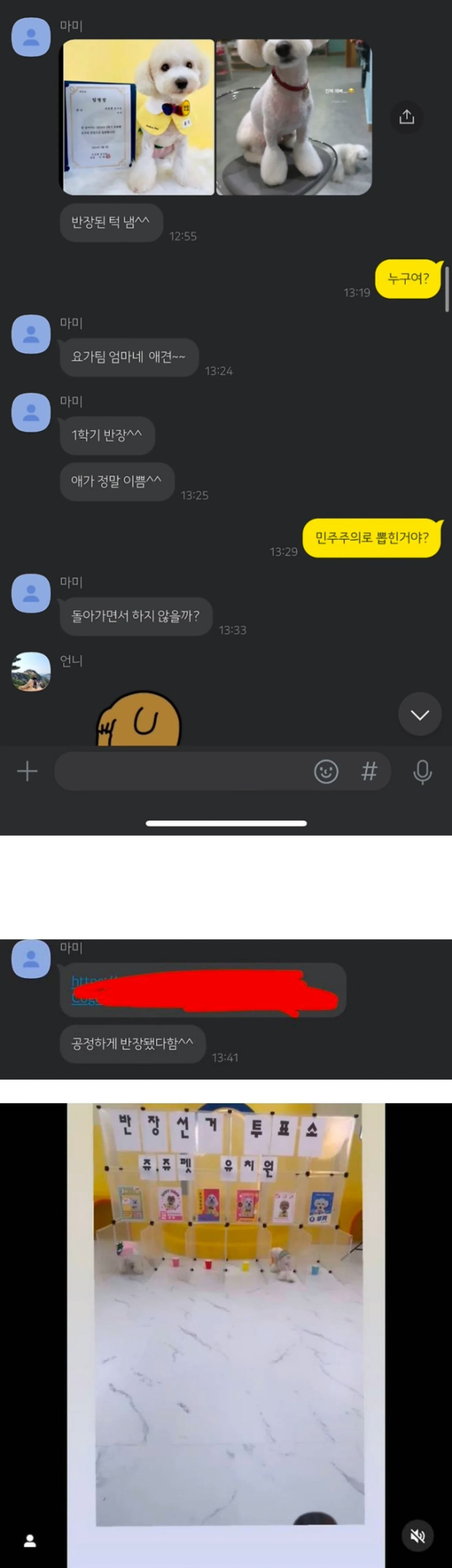 모르는 개가 반장됐다고 톡옴... | 인스티즈