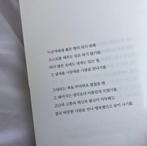 나를 사랑하는 일을 제일 잘할 것이다 | 인스티즈