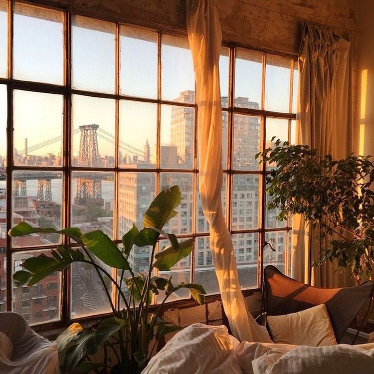 우리는 오렌지 태양 아래 그림자 없이 함께 춤을 춰 | 인스티즈