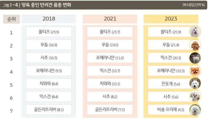 고양이 강아지 종 별 인기순위와 연도별 추이 | 인스티즈