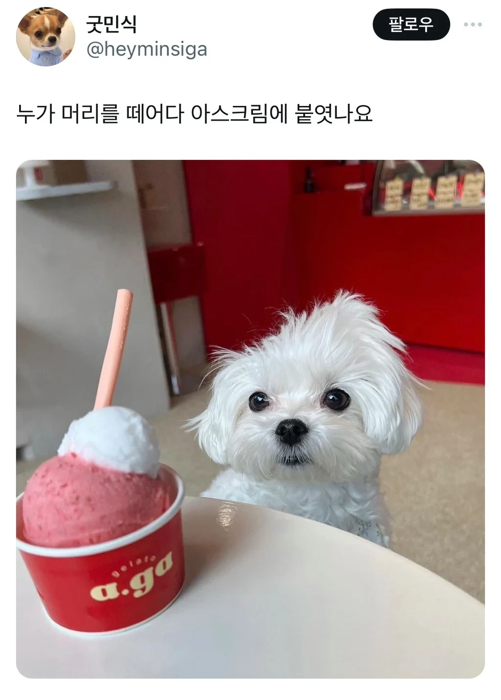 누가 머리를 떼어다 아스크림에 붙였나요 | 인스티즈