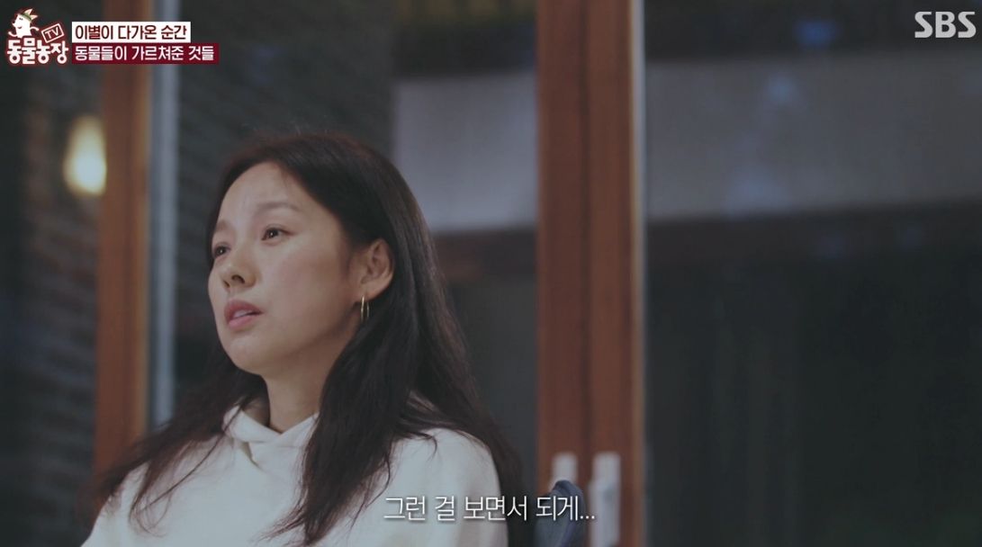 이효리 반려견 순심이가 죽기 전 다른 동물들이 보인 반응 | 인스티즈