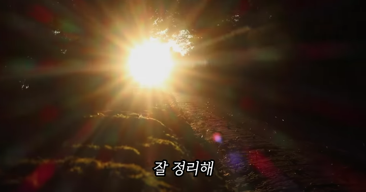 반려묘를 떠나보낸 유튜버가 올린 영상 | 인스티즈