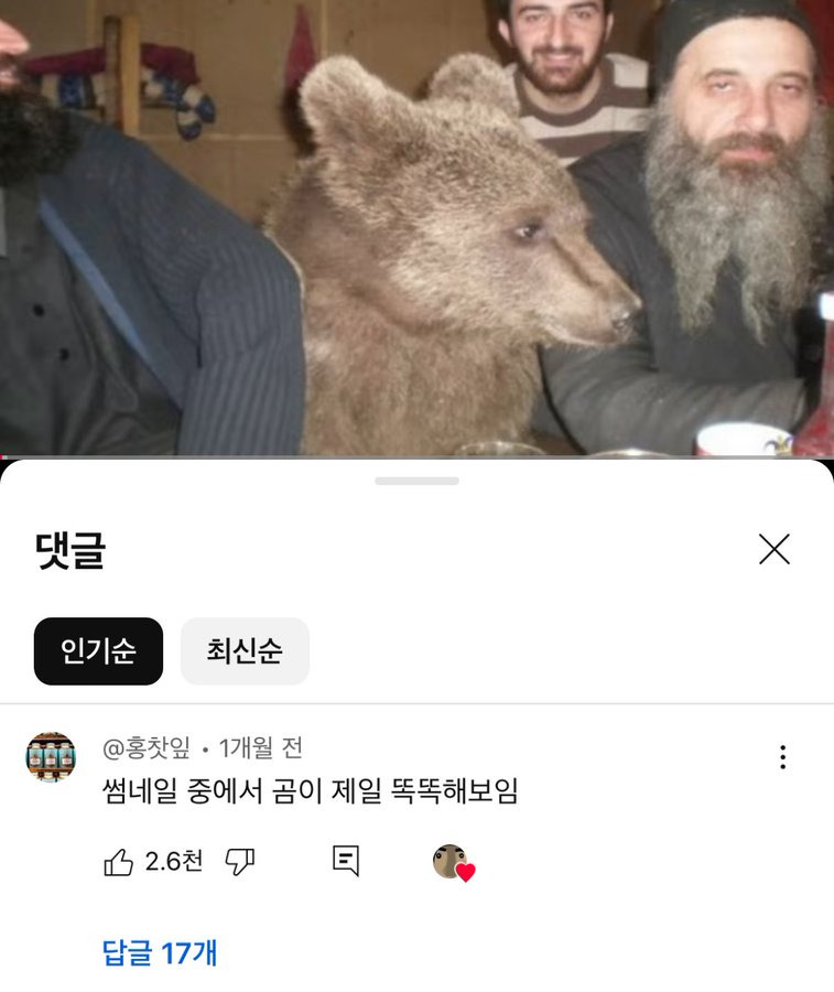 썸네일 이미지