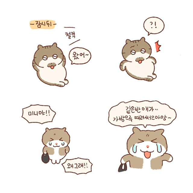 내 동생은 나만 괴롭힐 수 있어 | 인스티즈