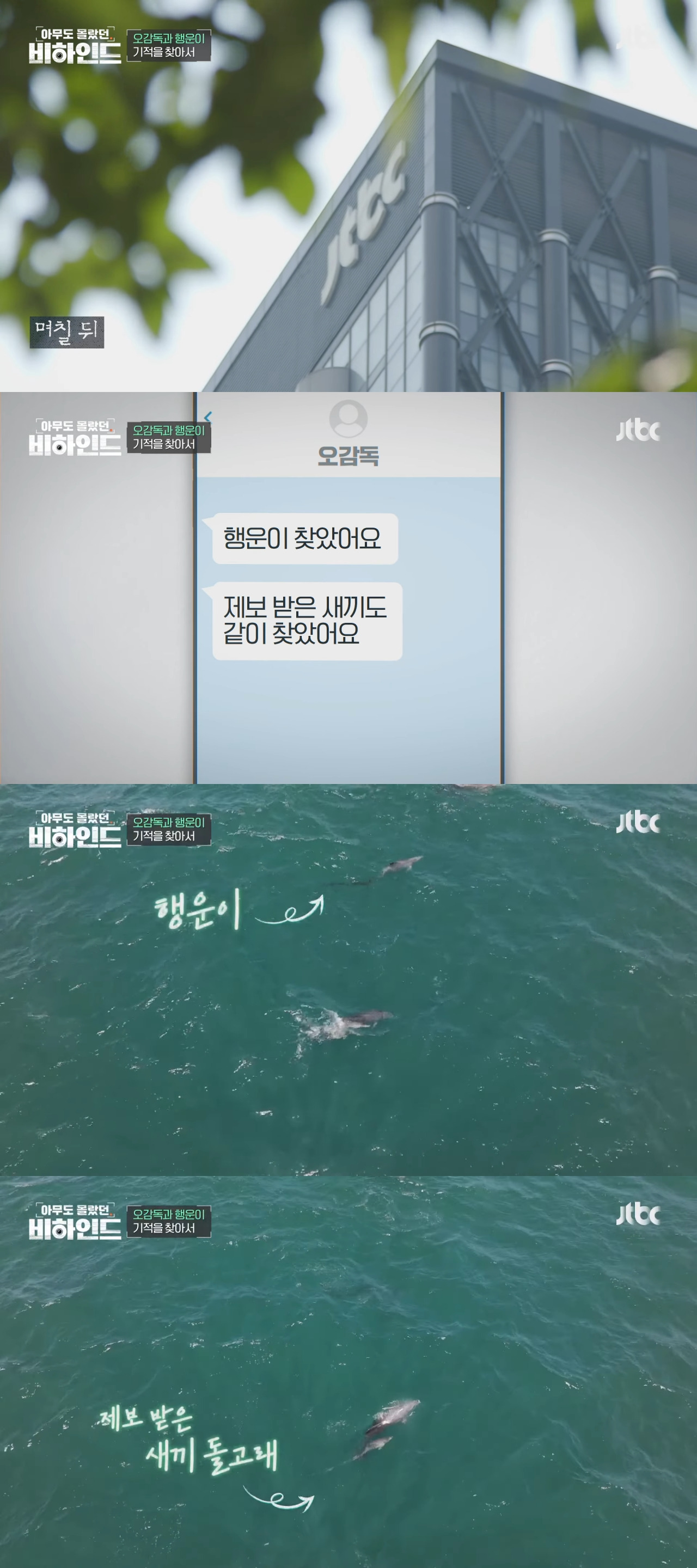 인간이 버린 쓰레기에 걸려 고통 받는 돌고래들을 따라다니는 돌고래 아빠 | 인스티즈