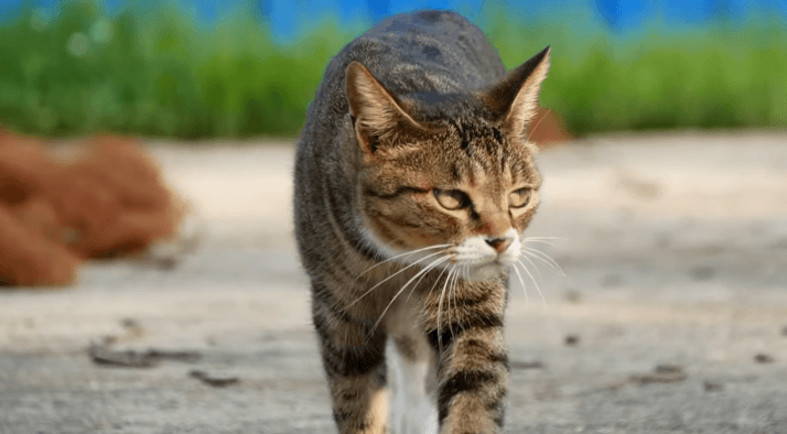 [hahaha] 양어장 일짱 하연님 | 인스티즈