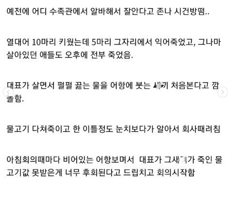 신입이 어항에 끓는물 부음 | 인스티즈