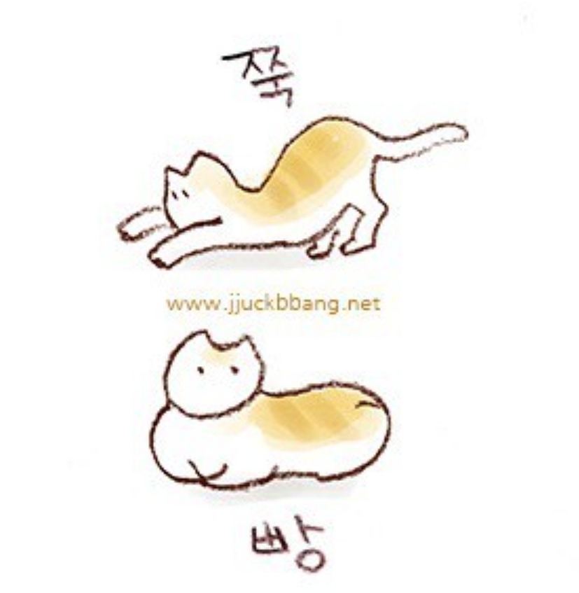 캠핑 간 친구가 보내는 소름끼치는 문자 | 인스티즈