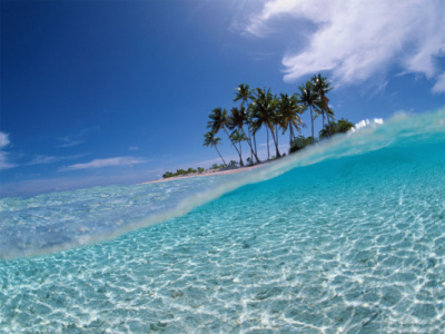 나에 대한 사람들의 인식을 알 수 있는 테스트 (feat. 오프라 윈프리 쇼) | 인스티즈