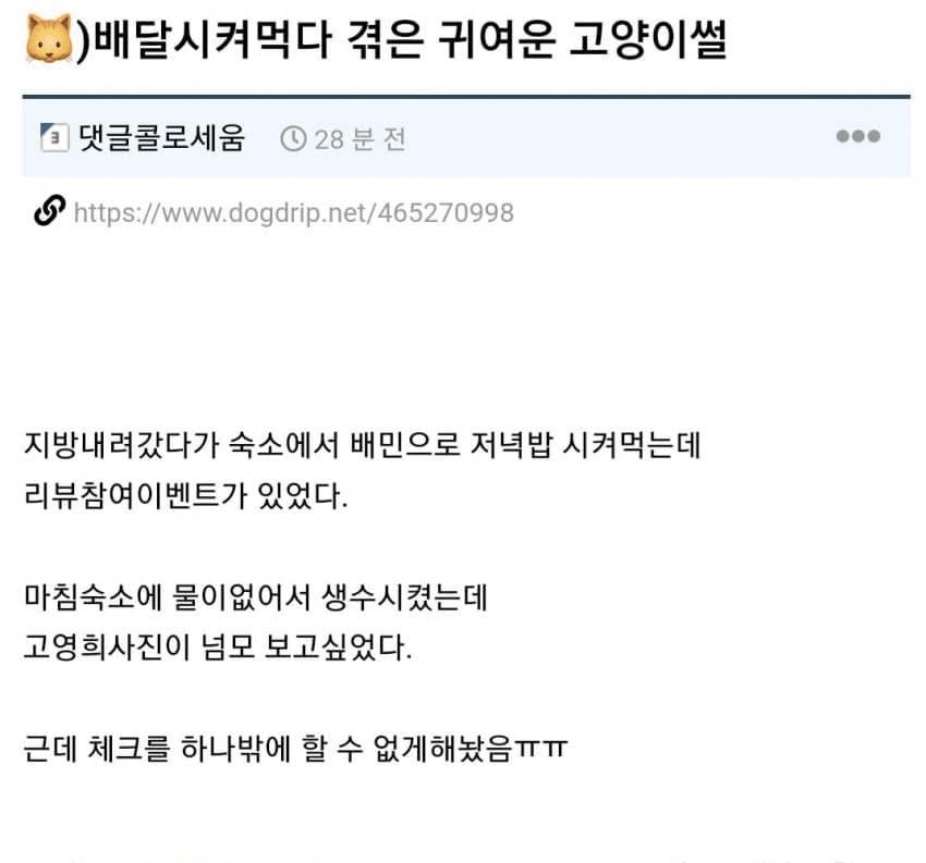 배달시켜먹다 겪은 귀여운 고양이썰 | 인스티즈