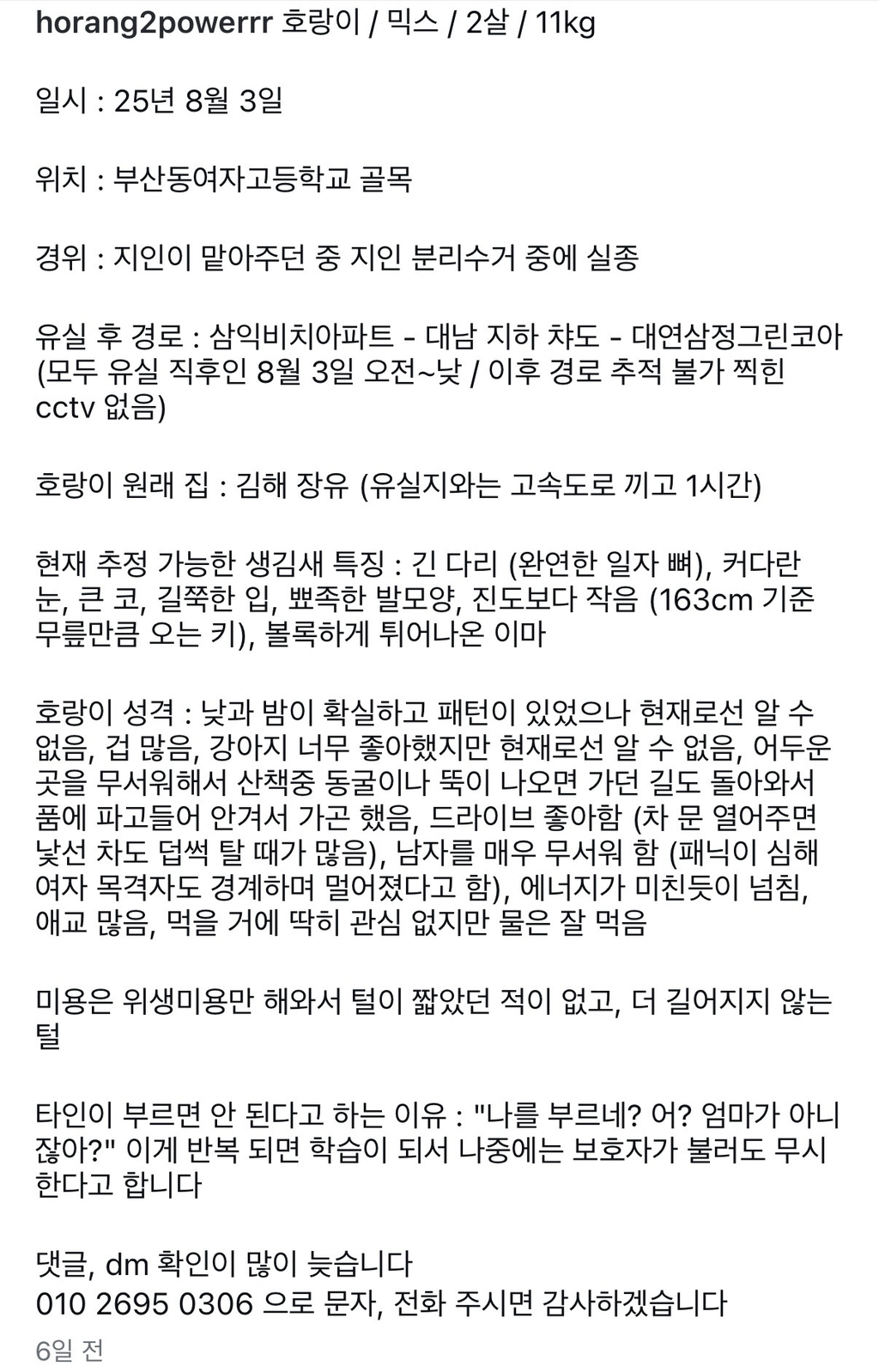 부산 실종 강아지 호랑이 찾아주세요 한번만이라도 사진 보고 가주라 준바오들아 ㅠㅠ.. | 인스티즈