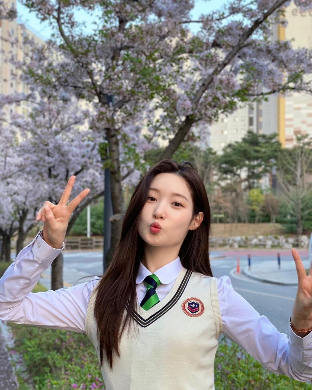 봄마다 꺼내보는 인간 벚꽃 정채연 | 인스티즈