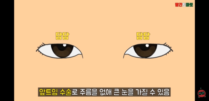 한국인 종특 | 인스티즈