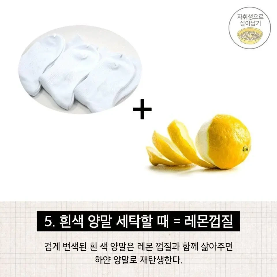 생활팁 후기 | 인스티즈