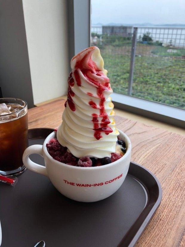 요거트 아이스크림이 진짜 맛있는 걸로 유명한 지방 카페 체인 | 인스티즈