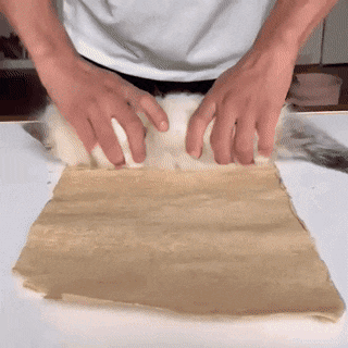 안 키워본 사람: 냥이 학대 아닌가요? | 인스티즈