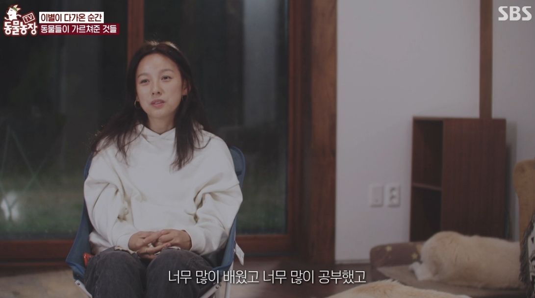이효리 반려견 순심이가 죽기 전 다른 동물들이 보인 반응 | 인스티즈