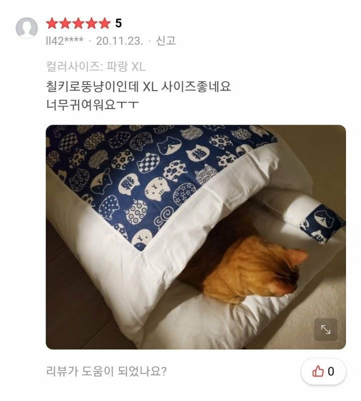 짱 귀여운 고양이 이불구매 후기 | 인스티즈