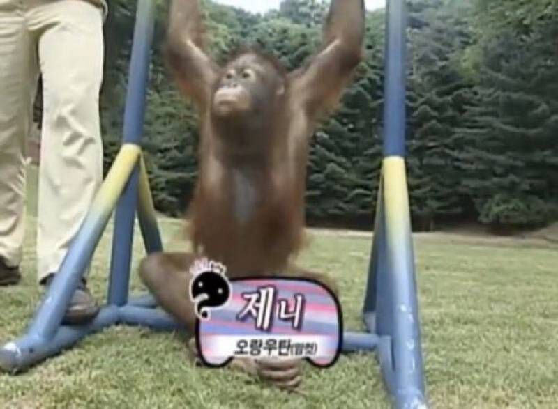 나 진짜 제니닮음... | 인스티즈