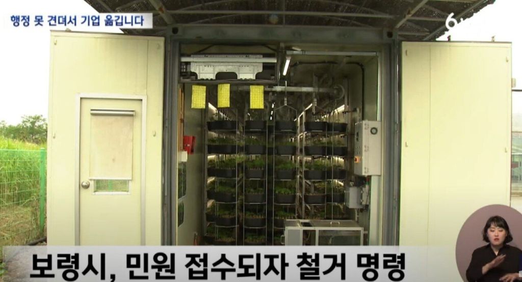 충남 보령시 매출 1위 공장이 떠나는 이유 | 인스티즈