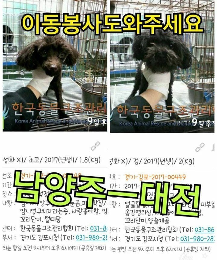 보는 사람도 행복해지는 강승윤 강아지 토르의 변화.jpg | 인스티즈