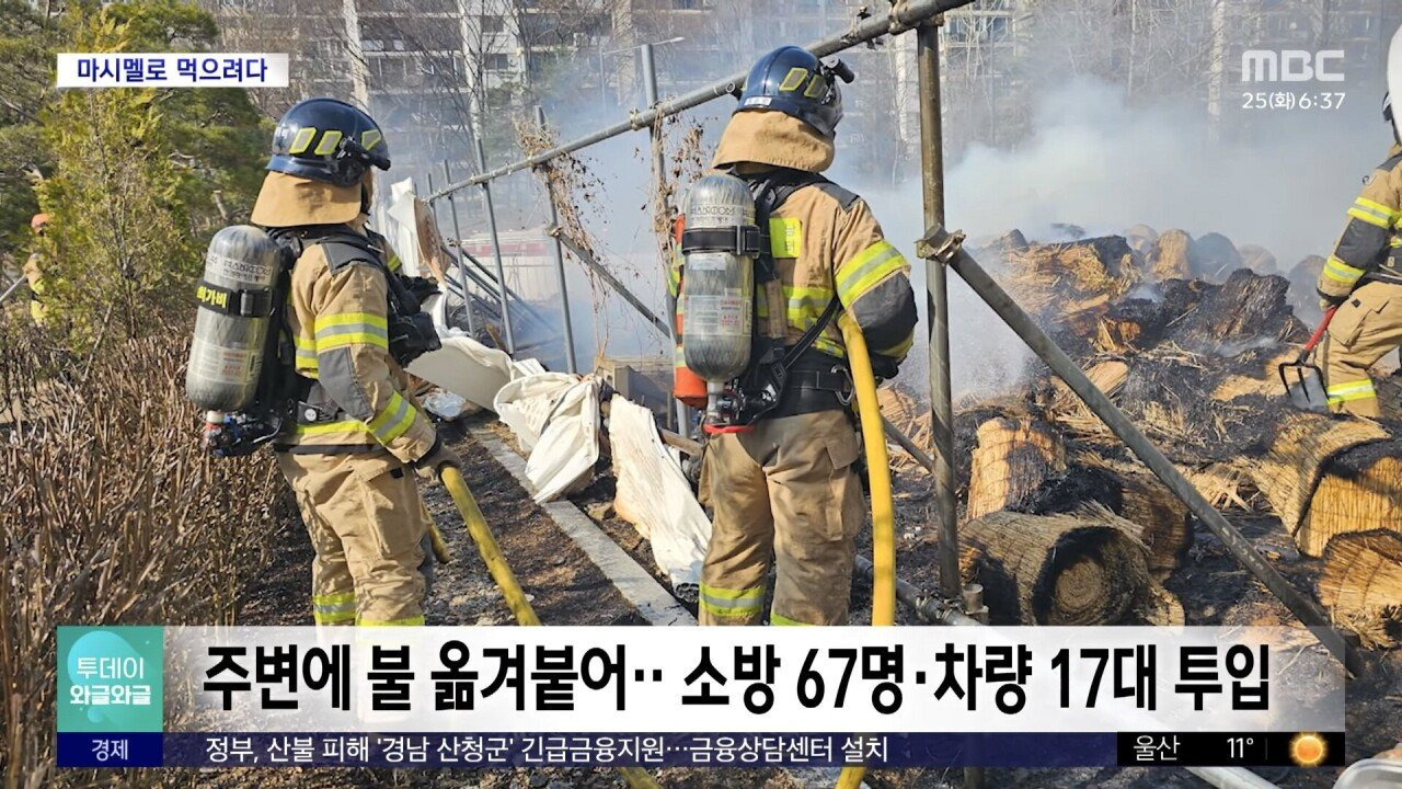 초등학생, "마시멜로 굽다가.." 공원에 불 | 인스티즈