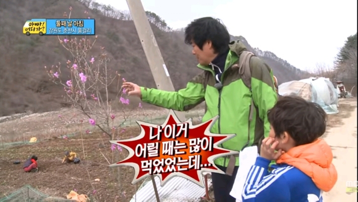 [아빠어디가] 아빠는 세상에서 가장 좋은 길로만 널 데려갈거야 | 인스티즈