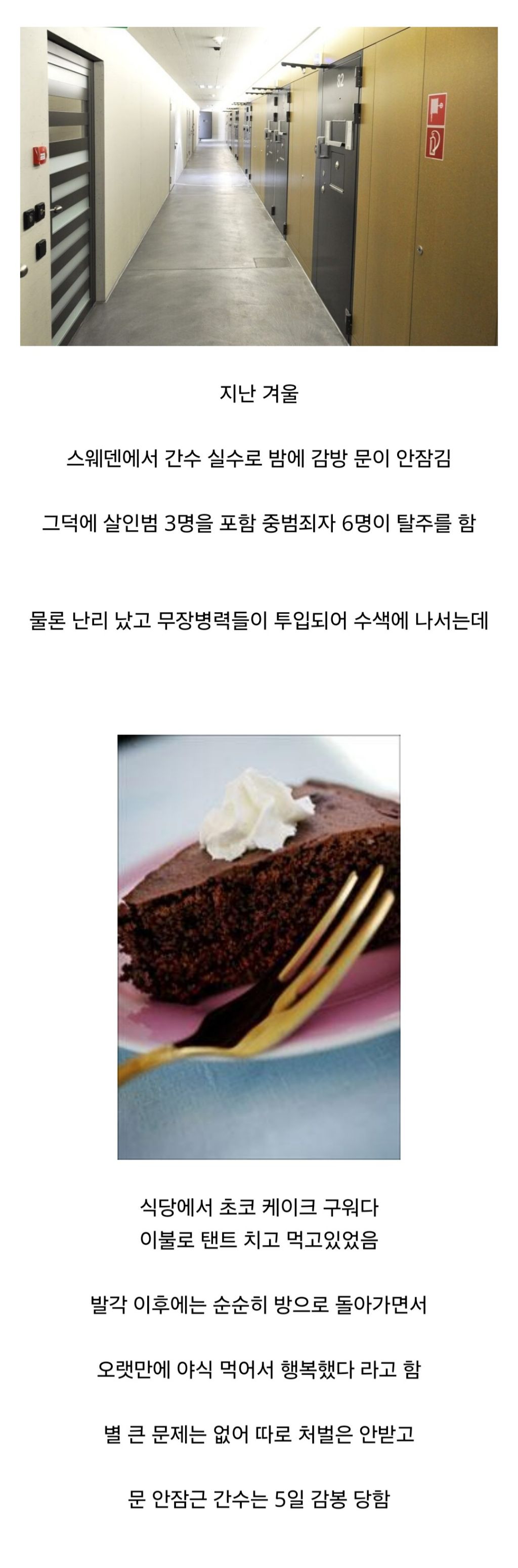 충격적인 스웨덴 살인범 6명 탈옥 결과 | 인스티즈