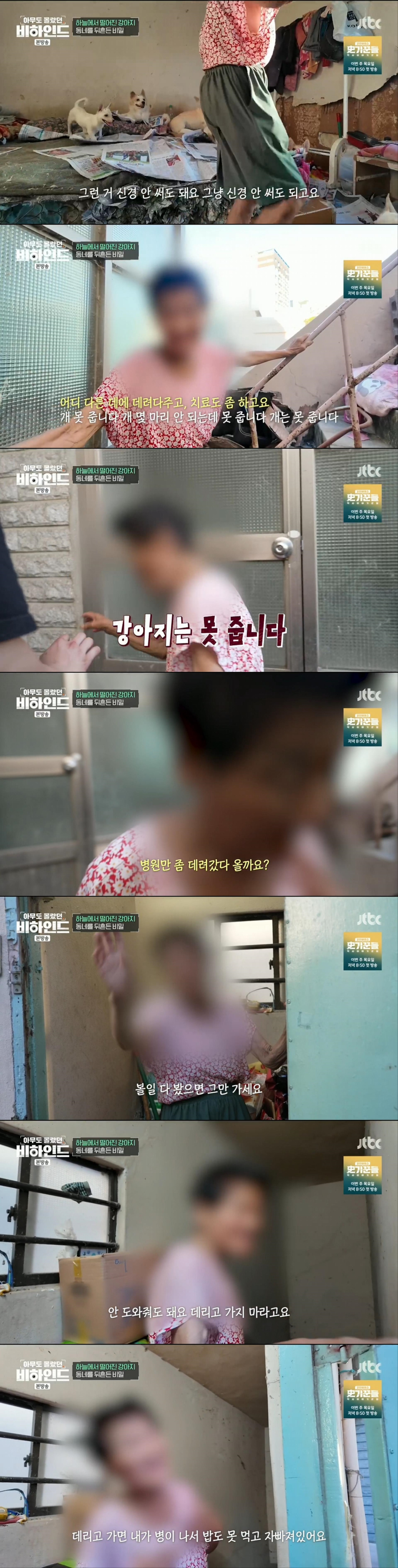할머니와 할아버지와 함께 쓰레기집에서 살던 18마리의 강아지들 | 인스티즈
