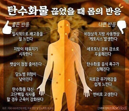탄수화물 끊었을때의 몸의 반응 | 인스티즈