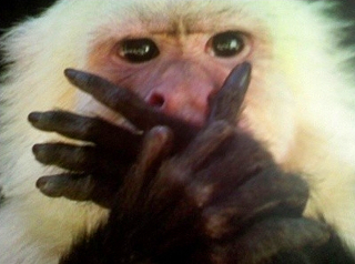 감성따윈 없었다 1박2일 단밤을 위한 개고생 시나리오 🌰보늬밤 만들기🌰 | 인스티즈