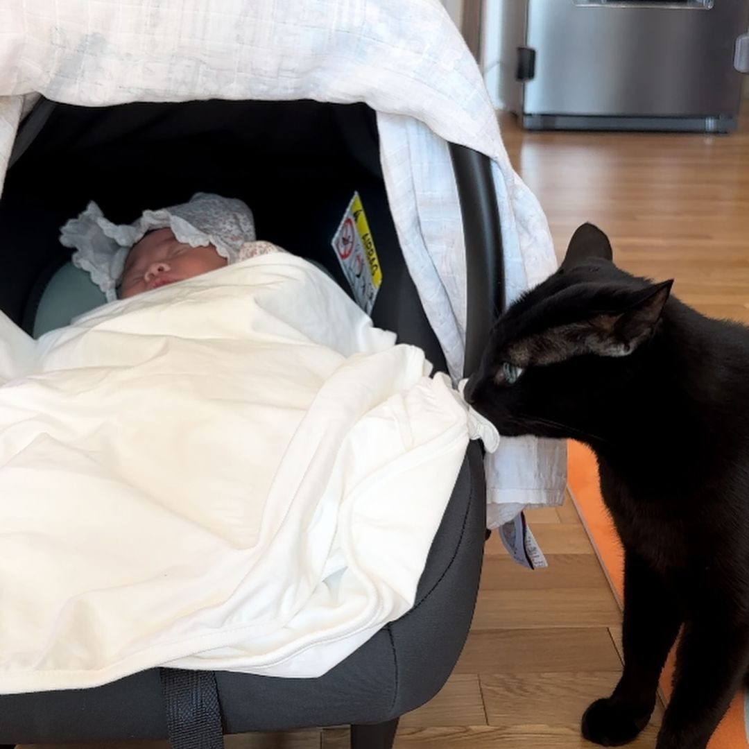 드디어 만난 박수홍 딸 전복이와 다홍이 | 인스티즈